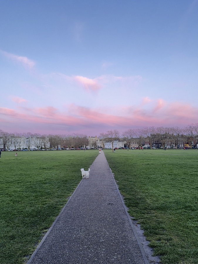 Lovely sunset over Richmond Green